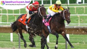 keo-dua-ngua-truc-tuyen-uy-tin